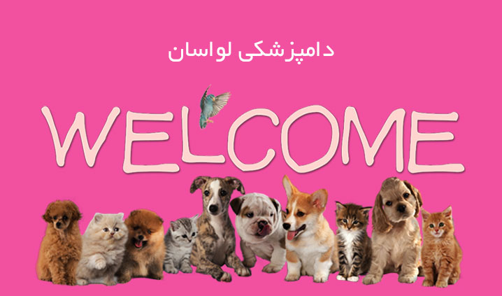 کلینیک مجهز دامپزشکی